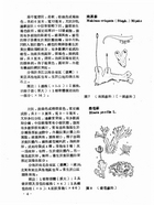 中國高等植物圖誌（農003）試閱-7