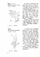 中國高等植物圖誌(二)（農004）試閱-3