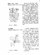 中國高等植物圖誌(二)（農004）試閱-5