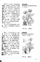 中國高等植物圖誌(二)（農004）試閱-6