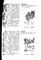中國高等植物圖誌(三)（農005）試閱-2