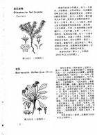 中國高等植物圖誌(三)（農005）試閱-3