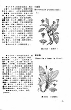 中國高等植物圖誌(三)（農005）試閱-4