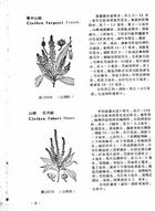 中國高等植物圖誌(三)（農005）試閱-9